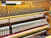 dan-piano-co-gershwin-no-500a2-326xx