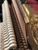 dan-piano-royale-rs21-seri-o733xx