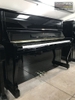dan-piano-royale-rs21-seri-o733xx