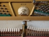 dan-piano-steinrich-s10