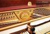 dan-piano-kohler-campbell-su121f-seri-isdo38xx