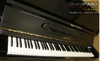 dan-piano-loris