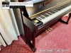 dan-piano-co-kohercampbell-t118db
