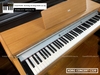dan-piano-dien-korg-concertc320