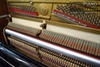 dan-piano-rolex-kr27