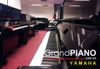 dan-piano-yamaha-u2h