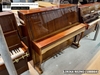 dan-piano-co-lirika-rezno