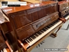 dan-piano-co-lirika-rezno