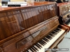 dan-piano-co-lirika-rezno