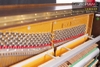 dan-piano-young-chang-u121nfi-seri-21649xx