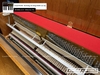 dan-piano-co-tokai-au3wp-316746
