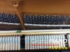 dan-piano-yamaha-u3h