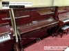 dan-piano-co-nobel-tn133-430