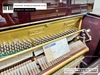 dan-piano-co-nobel-tn133-430