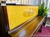 dan-piano-co-ottostein-sn121k