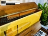 dan-piano-co-ottostein-sn121k