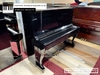 dan-piano-co-pruthner-p3-51