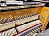 dan-piano-co-pruthner-p3-51