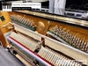 dan-piano-co-pruthner-p3-51