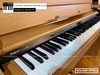 dan-piano-dien-roland-dp90e