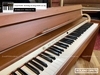dan-piano-dien-roland-dp970