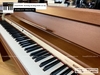 dan-piano-dien-roland-dp970