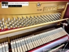 dan-piano-co-rolex-kr27-731xx