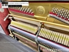 dan-piano-co-rolex-kr33-525xx
