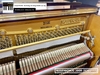 dan-piano-co-rosenkonig-200r-8201