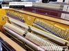 dan-piano-co-rosenkonig-200r-8201