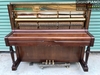 dan-piano-co-royale-dlx-oxxx