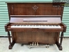 dan-piano-co-royale-dlx-oxxx