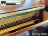 dan-piano-co-royale-dr5