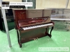 dan-piano-co-rubinstein