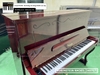 dan-piano-co-rubinstein