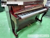 dan-piano-co-rubinstein