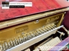 dan-piano-co-rubinstein