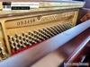 dan-piano-co-samicksm500