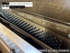 dan-piano-co-samick-su118cs