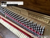 dan-piano-co-samick-su118f