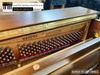 dan-piano-co-samick-su118f