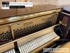 dan-piano-co-samick-wg5c-113