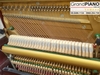 dan-piano-samick-wg5c-51351-nau-bong-go