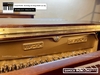 dan-piano-dien-samick-wg9c-342