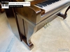 dan-piano-co-samickwg9c