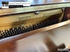 dan-piano-co-samickwg9c