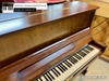 dan-piano-co-saujin-dw5