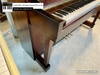 dan-piano-co-saujin-dw5