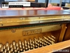 dan-piano-co-saujin-dw5
