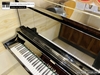 dan-piano-co-saujin-dw9